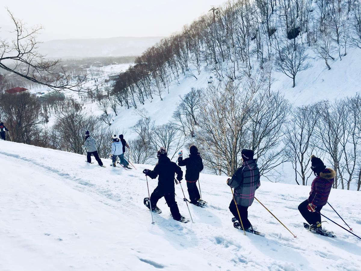 スノーシューダウンヒル ニセコアウトドアセンター
